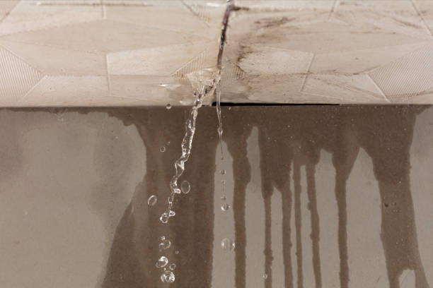 Professional Sewage Cleanup technician working in Valley Spring, TX
